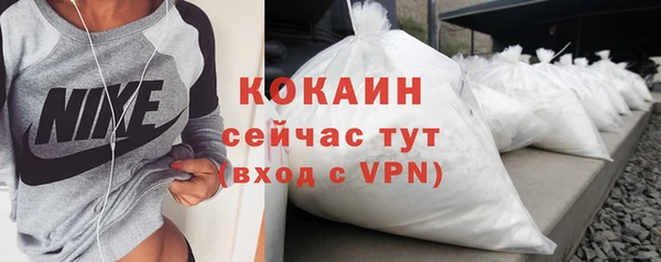 дживик Нея
