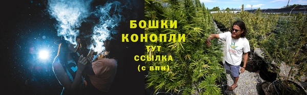 дживик Нея