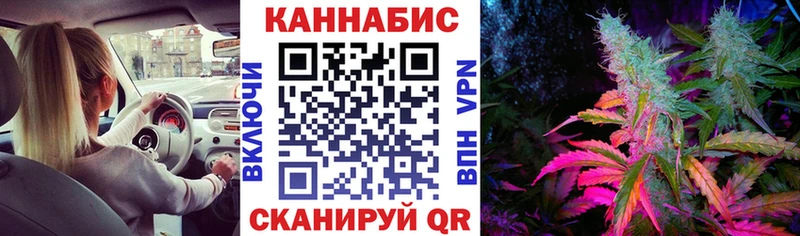 Канабис гибрид Волжский